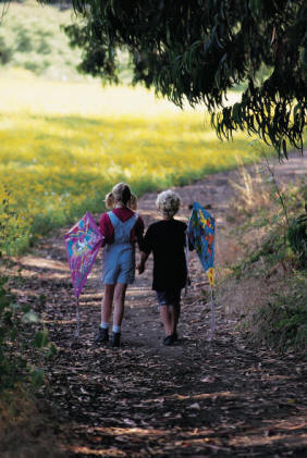 Homeschooling allows siblings to learn and grow, Together